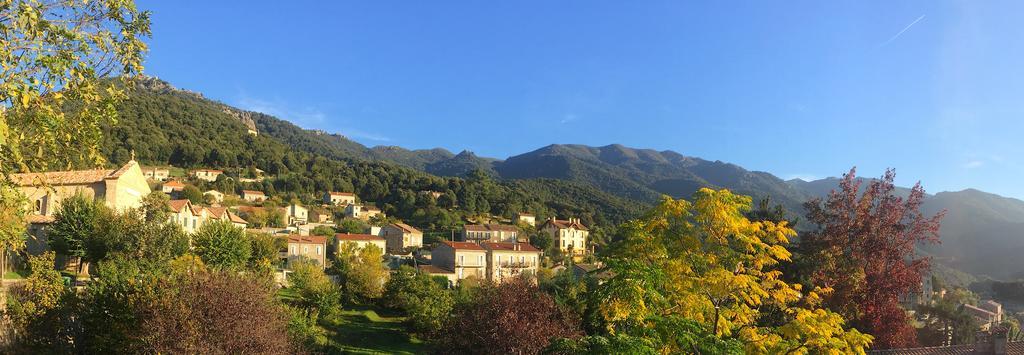 Gite Du Chalet Pietri Olivese Exterior photo