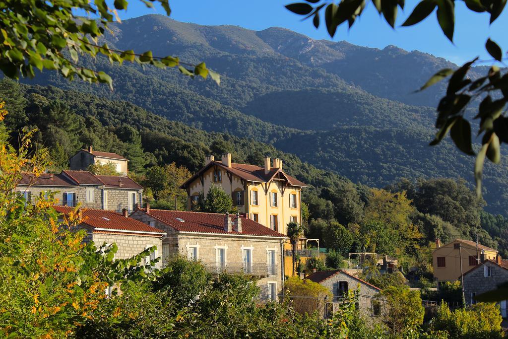 Gite Du Chalet Pietri Olivese Exterior photo